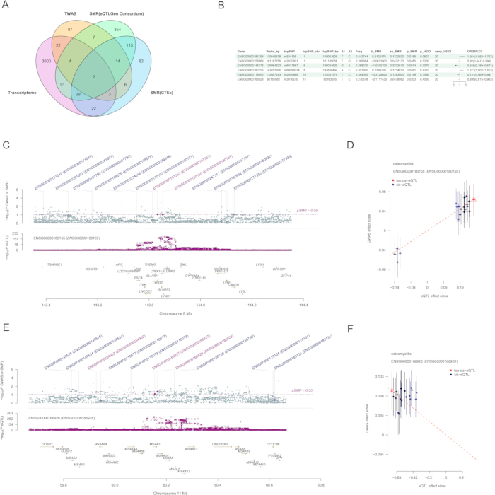 Venn diagram and loci plots show TWAS, SMR, eQTL data for gene identification in genomic studies.