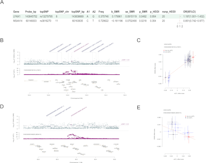 Gene association study results; table A, Manhattan plots B/D, eQTL plots C/E, SNP data analysis.