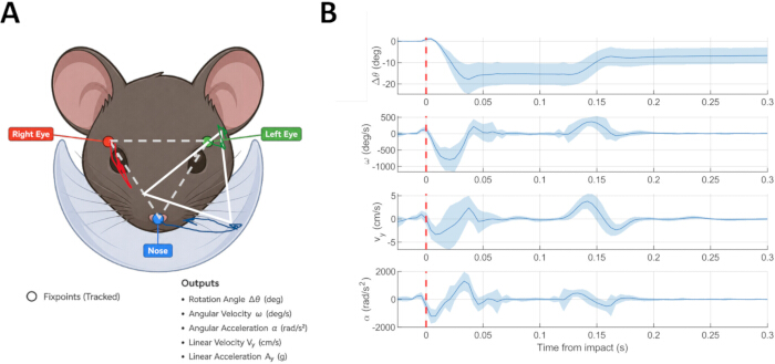 figure-results-3 Mouse head tracking diagram and motion analysis graph showing rotation, velocity, and acceleration data.