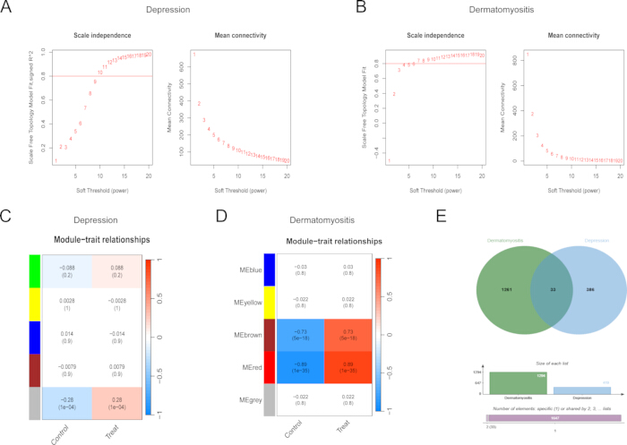 figure-results-2 Gene co-expression network analysis; depression and dermatomyositis; scale-free topology, module-trait heatmap, Venn diagram.