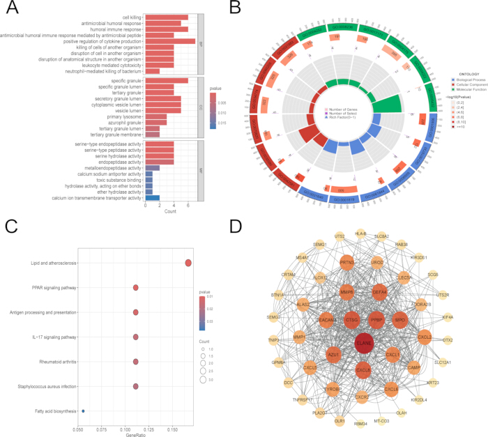 figure-results-3 Biological data analysis with bar chart, circular plot, bubble chart, and network diagram for gene function.