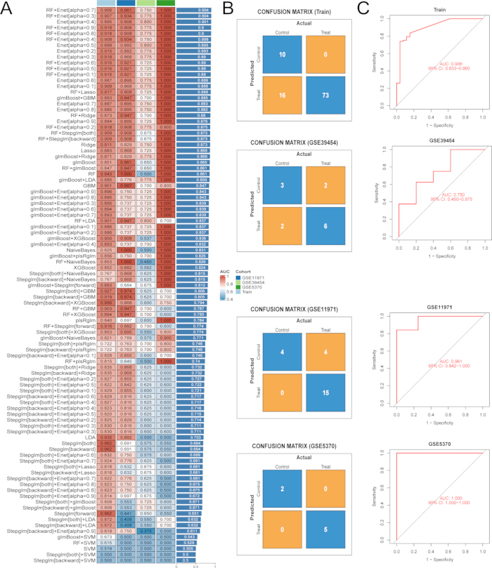 figure-results-4 Machine learning model comparison; confusion matrices; ROC curves; algorithm performance; AUC values.