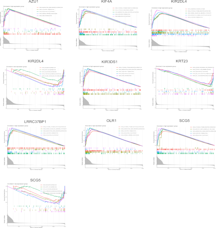 figure-results-6 Gene expression enrichment analysis graphs showing multiple gene profiles, comparing expression levels.