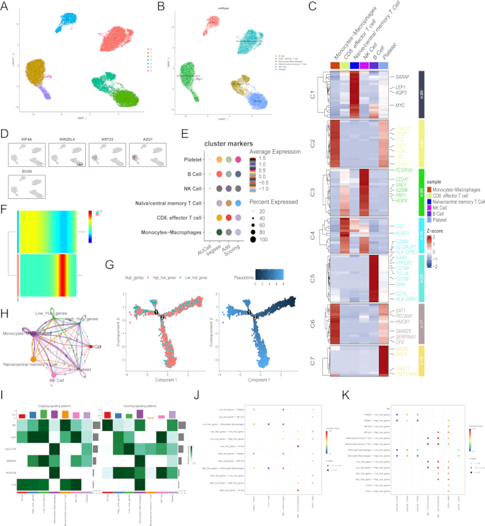 figure-results-8 Single-cell RNA sequencing diagram showing gene expression clusters; includes t-SNE plots and heatmaps.