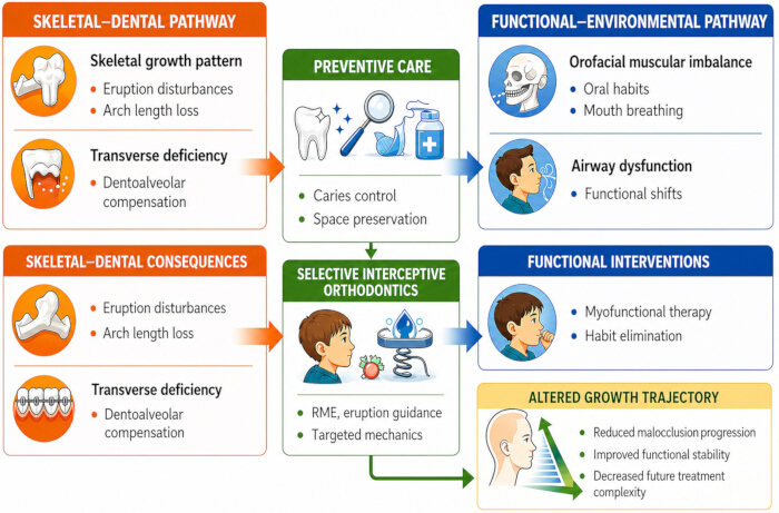 figure-protocol-1 Dental growth pathways, intervention strategies diagram: skeletal, functional processes, care steps.