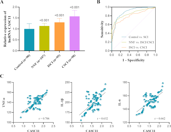 figure-results-2 Bar charts of lncRNA CASC11 expression; ROC curve analysis; scatter plots of cytokines vs. CASC11.