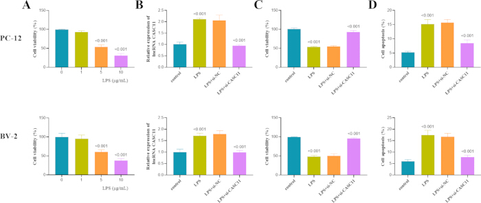 figure-results-3 PC-12, BV-2 cell viability and gene expression bar charts; LPS concentration; data analysis results.