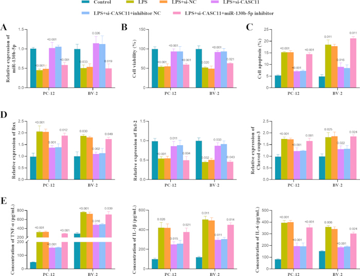 figure-results-5 Bar chart analysis of cell expression: apoptosis, viability, and cytokine analysis in PC-12, BV-2 cells.