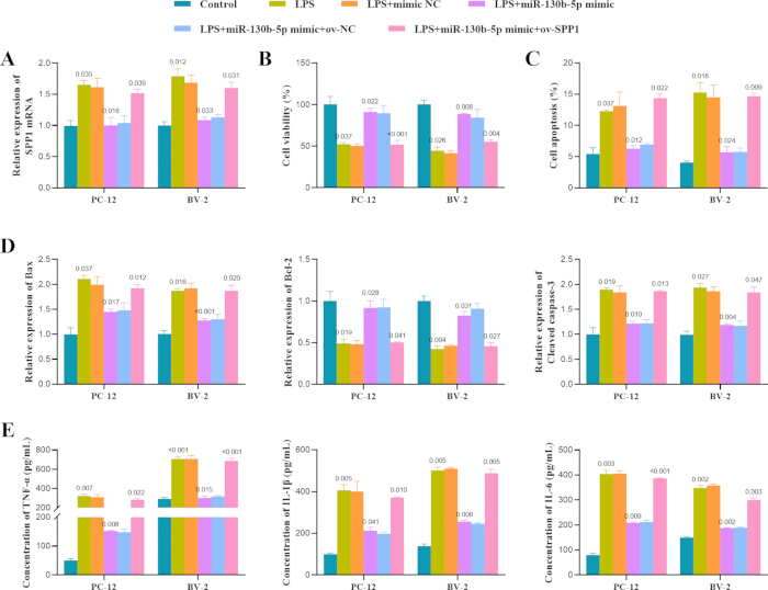 figure-results-7 Bar charts depicting miR-130b-5p mimic effects on PC-12, BV-2 cells; examines TNF-α, IL-1β levels.