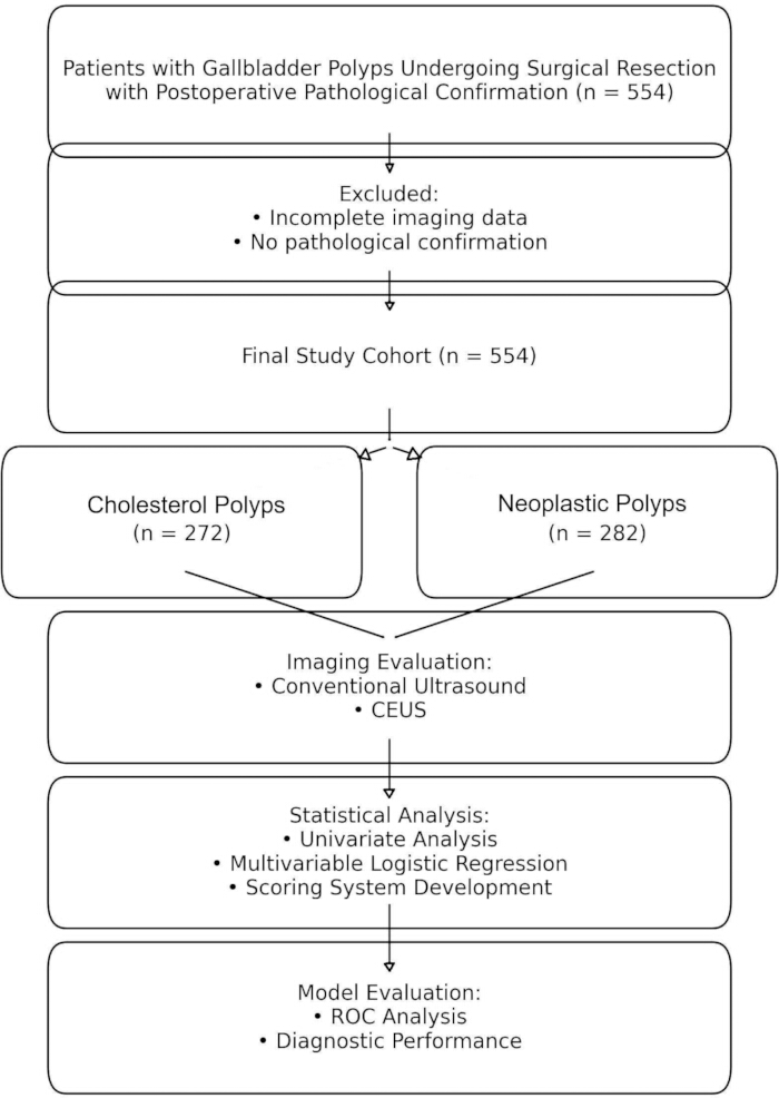 figure-results-1 Gallbladder polyp study flowchart; cohort selection, imaging evaluation, and statistical analysis.