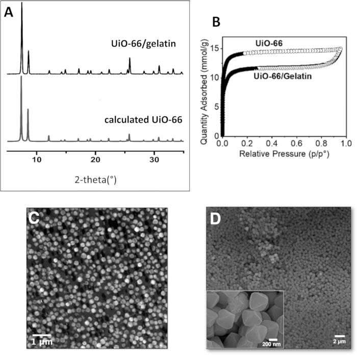 figure-protocol-6 XRD 和吸附图谱、UiO-66/明胶的 SEM 图像;材料表征分析。