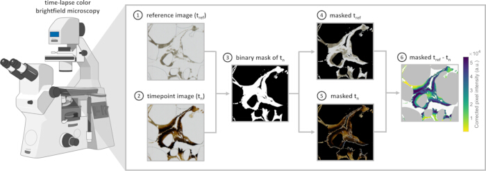 figure-protocol-4