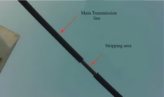 Main transmission line diagram with labeled stripping area for electrical engineering study.