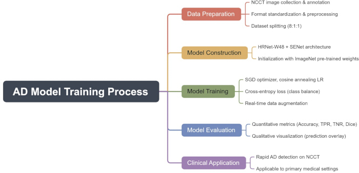 figure-introduction-1 AD model training diagram; steps: data preparation, model construction, training, evaluation, clinical.