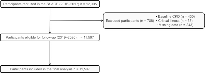 Flow diagram of participant selection process; recruitment, exclusion criteria, final analysis steps.