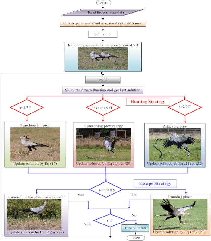 Optimization process with hunting strategy; equations (Σ), flowchart, strategy diagram.