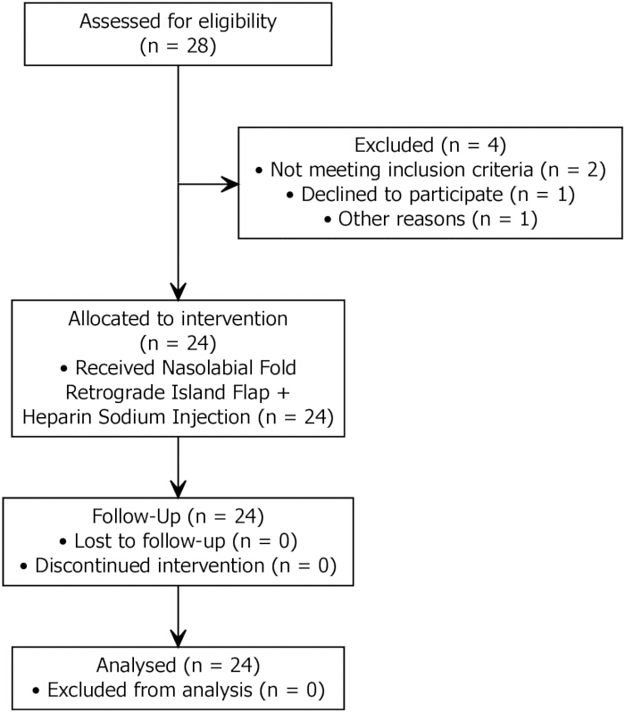 Flowchart of clinical trial steps: eligibility assessment, allocation, follow-up, analysis.