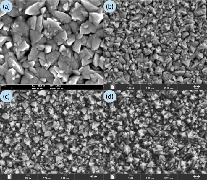 SEM micrographs; surface morphology analysis; crystal growth; magnification comparison; material research.