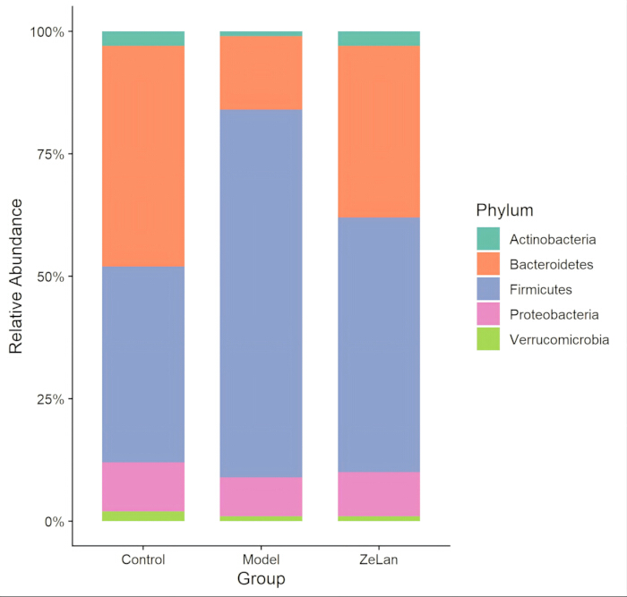 Microbial composition bar chart; phylum abundance in Control, Model, ZeLan groups; microbiome analysis.