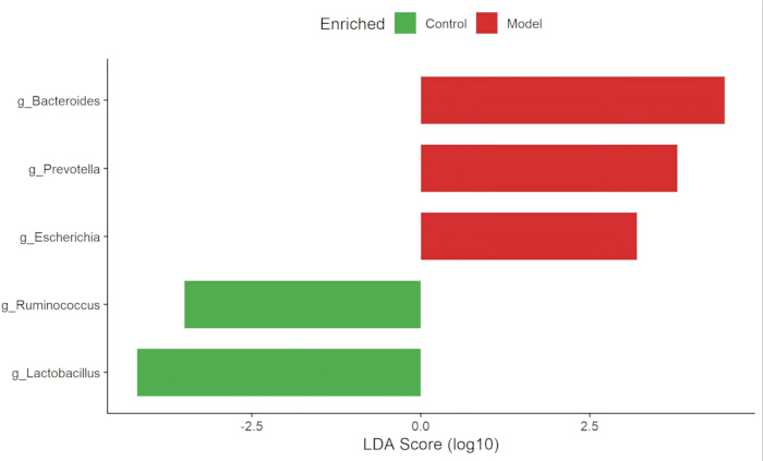 Microbiome analysis, LDA Score bar chart showing genus enrichment in control and model groups.
