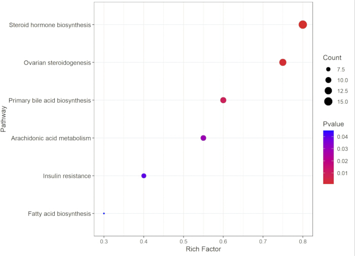 Pathway analysis dot plot; bubble size indicates count; color shows p-value; axes: Rich Factor vs. Pathway.