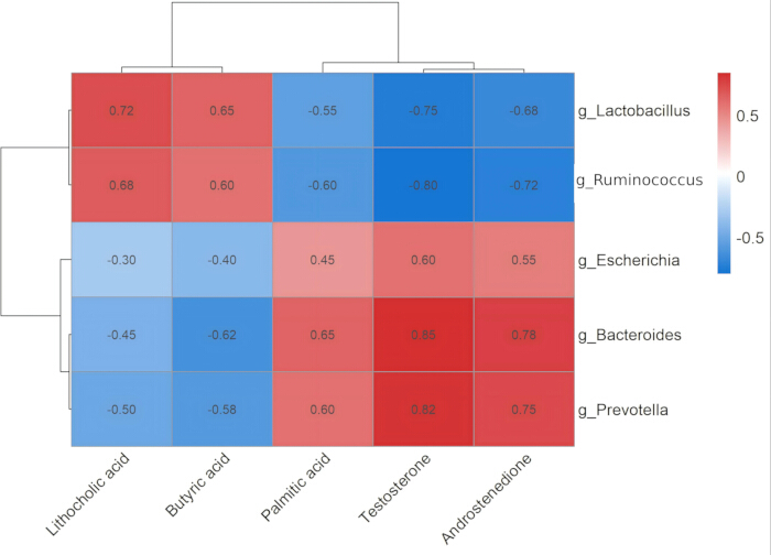 Heatmap diagram of microbial and metabolite correlations; data analysis on gut microbiota.