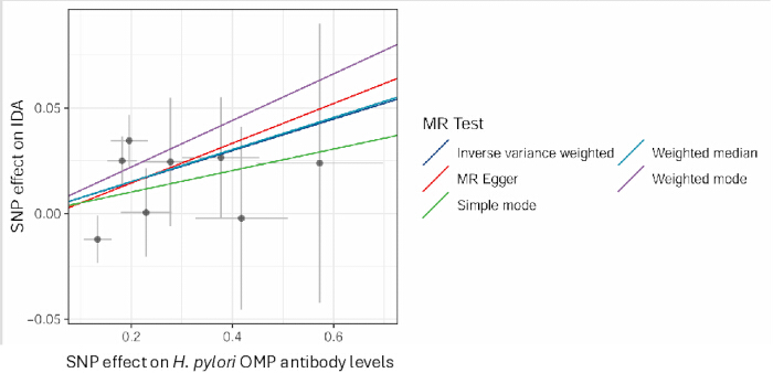 Mendelian randomization graph analyzing SNP effects on H. pylori antibody levels using multiple methods.