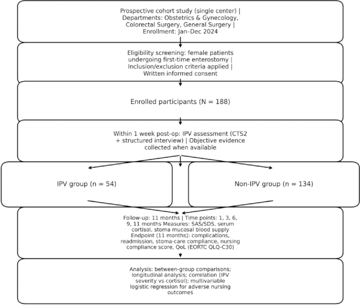 Prospective cohort study flowchart; participant screening, group division, follow-up, data analysis.