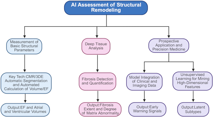 AI assessment flowchart for structural remodeling; focuses on tissue analysis, fibrosis, imaging data.