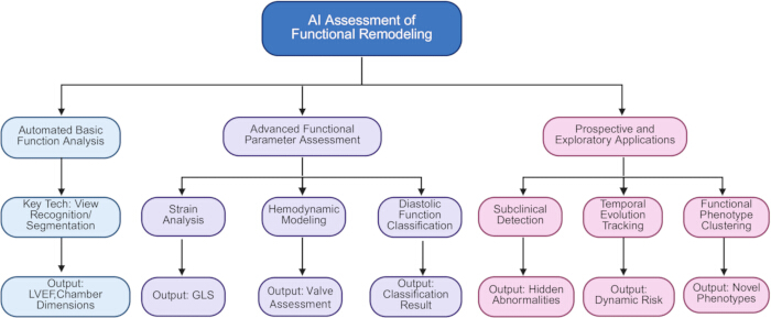AI assessment of functional remodeling flowchart; processes: strain analysis, hemodynamic modeling.