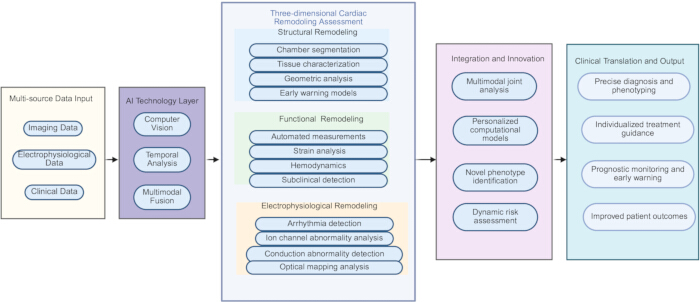 Cardiac remodeling diagram, AI data integration, structural and electrophysiological analysis.