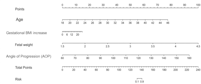 Static equilibrium point scale diagram; evaluates gestational BMI, fetal weight, progression risk.
