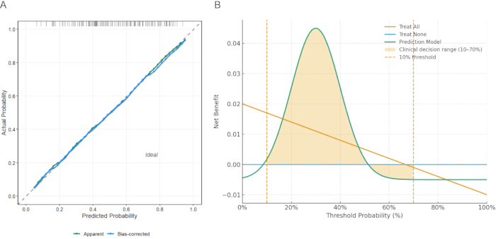 Calibration plot (A) and decision curve (B) for prediction model analysis; bias-corrected results.