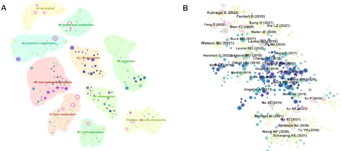 Research topic clustering; bibliometric map; visualization of scientific articles and research themes.