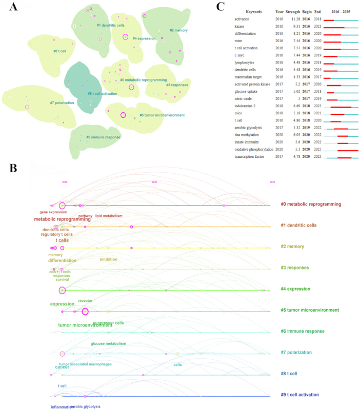 Cell activation network diagram; shows metabolic reprogramming, dendritic cells; gene expression chart.
