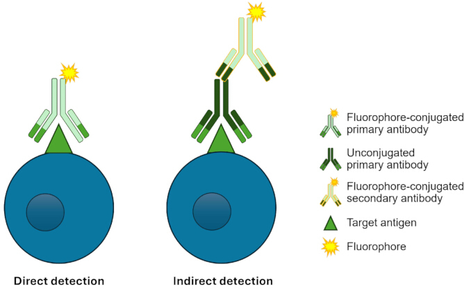 figure-results-2