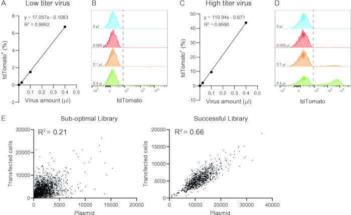 figure-results-4 Virus transduction analysis graphs; tdTomato expression, scatter plots; R-squared values shown.