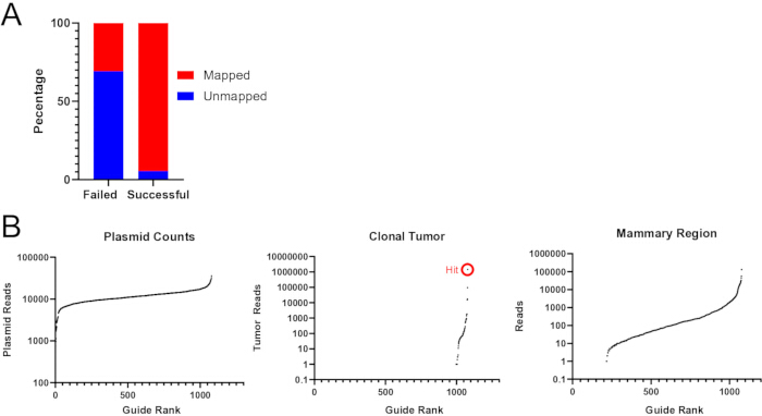 figure-results-7 Bar chart and data plots on CRISPR guide RNA mapping and plasmid, tumor, and mammary region analysis.