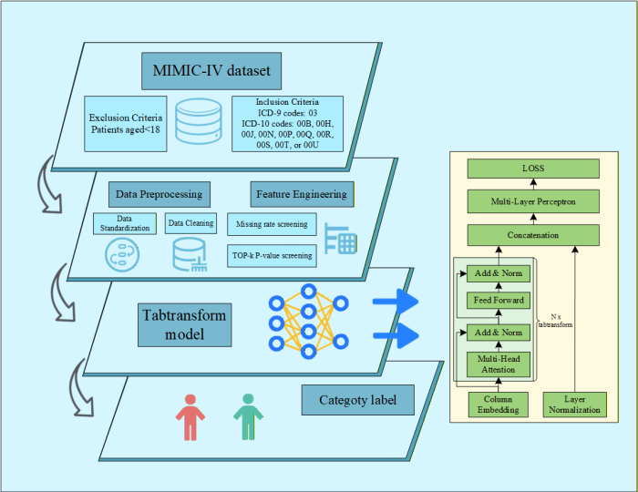 figure-protocol-4 MIMIC-IV dataset analysis via Tabtransform model; diagram of preprocessing, feature engineering.