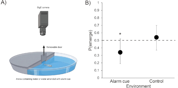 figure-results-2 Behavioral response experiment diagram with GigE camera; probability graph of emergence under cues.