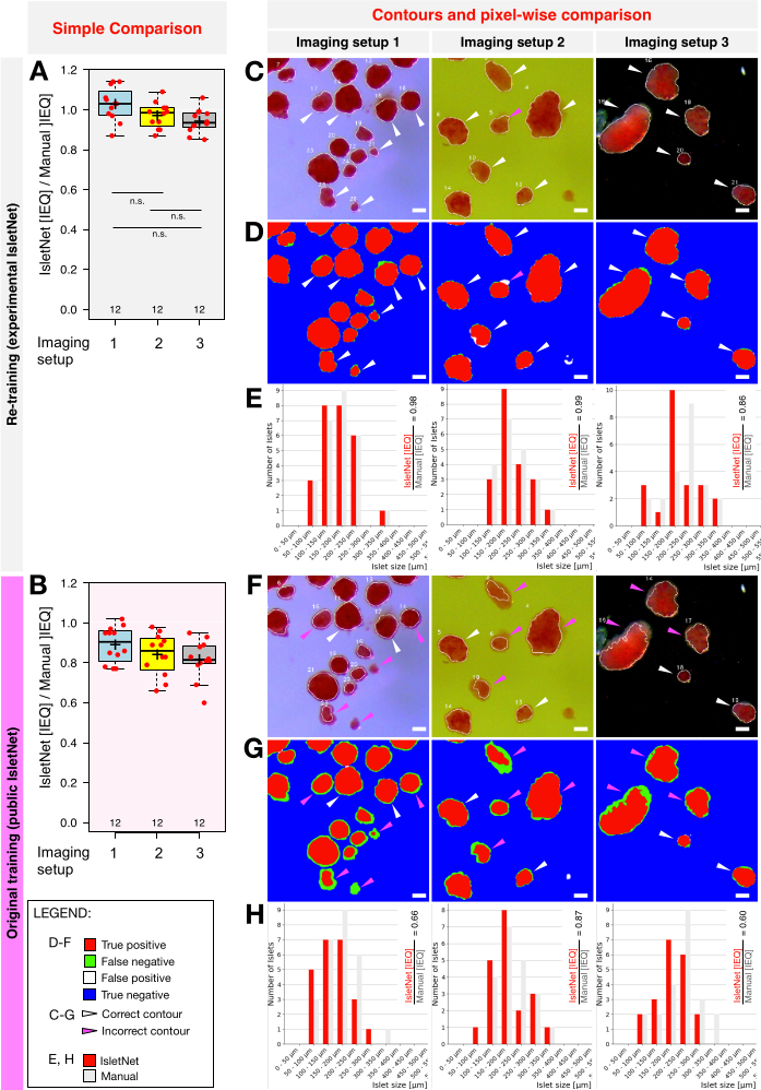 figure-results-1 Image analysis comparison; graphs and charts; islet identification; imaging setups; data accuracy.