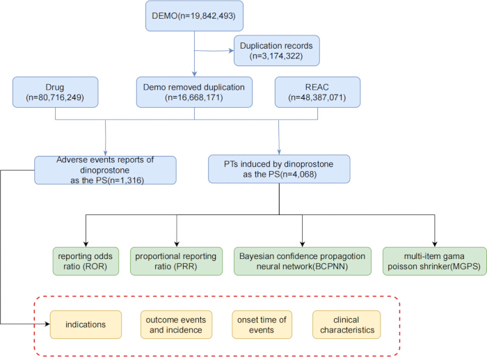 figure-protocol-1 Adverse events analysis flowchart; dinoprostone reports, Bayesian method, risk factors diagram.