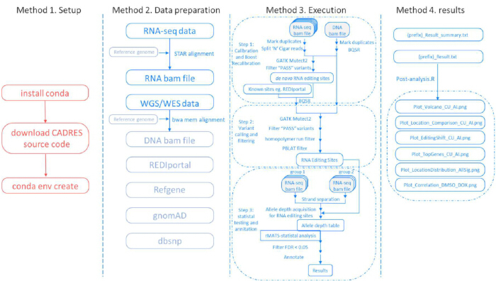 Workflow diagram for genomic data analysis: setup, RNA/DNA data processing, execution, results.