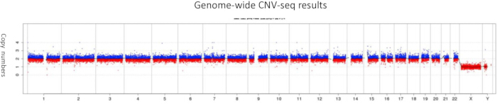 figure-introduction-2 Genome-wide CNV-seq results graph; chromosome copy number variations analysis.