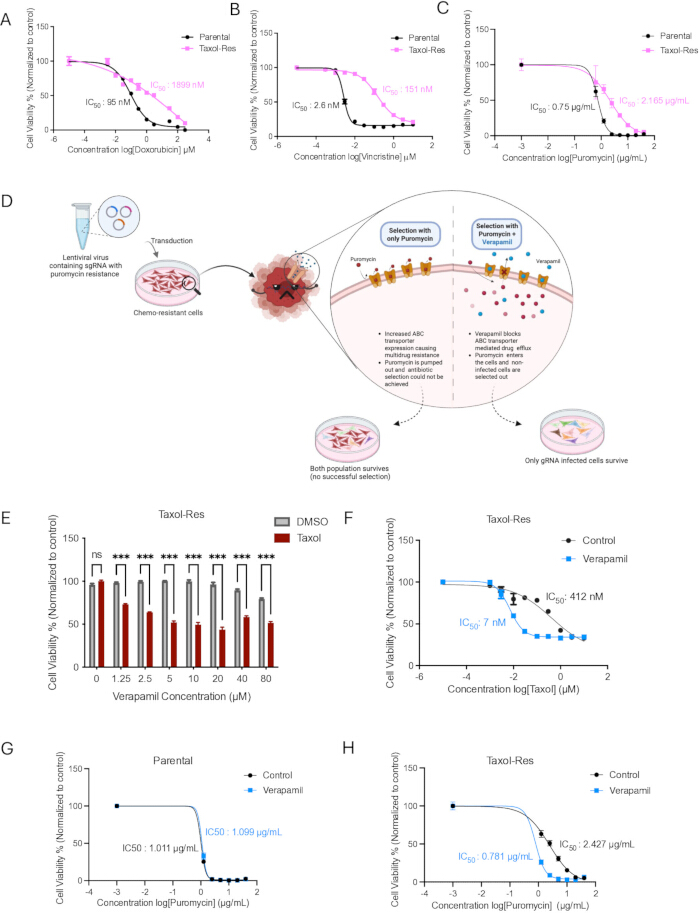 Chemotherapy resistance analysis; graphs, diagram; IC50 values; verapamil effect; drug interaction.