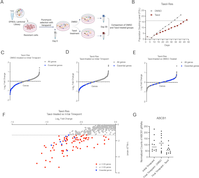 Taxol resistance study, flowchart, growth curve, gene expression graphs, statistical analysis.