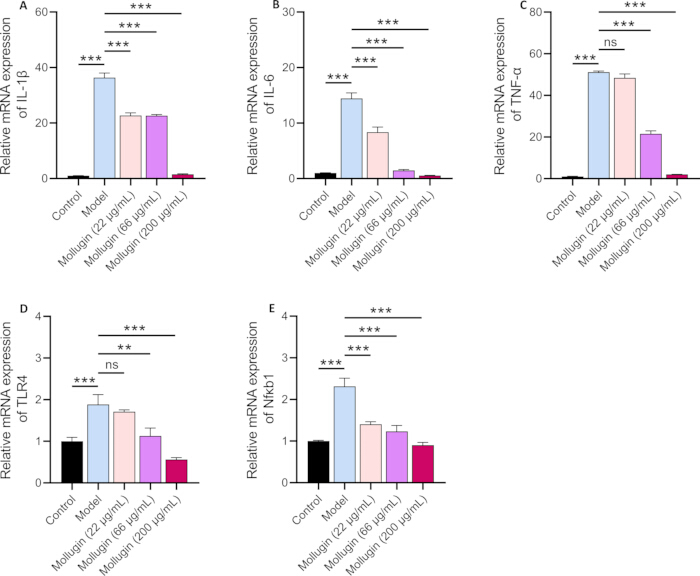 figure-results-4 Bar chart comparing relative mRNA expression levels of IL-1, IL-6, TNF-α, Nrf1, NF-kβ1 after treatment.