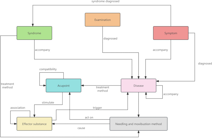 figure-protocol-2 Medical diagnosis flowchart, diagram: Syndrome, symptom, examination, treatment methods.