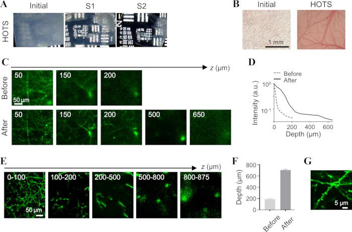 Microscopy images showing depth-resolved analysis pre- and post-HOTS; intensity graph and results.