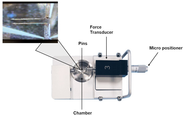 figure-results-5 Tissue engineering setup: chamber, pins, force transducer, micro positioner for mechanical testing.